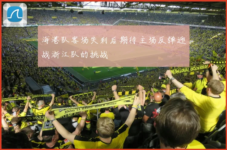 海港队客场失利后期待主场反弹迎战浙江队的挑战
