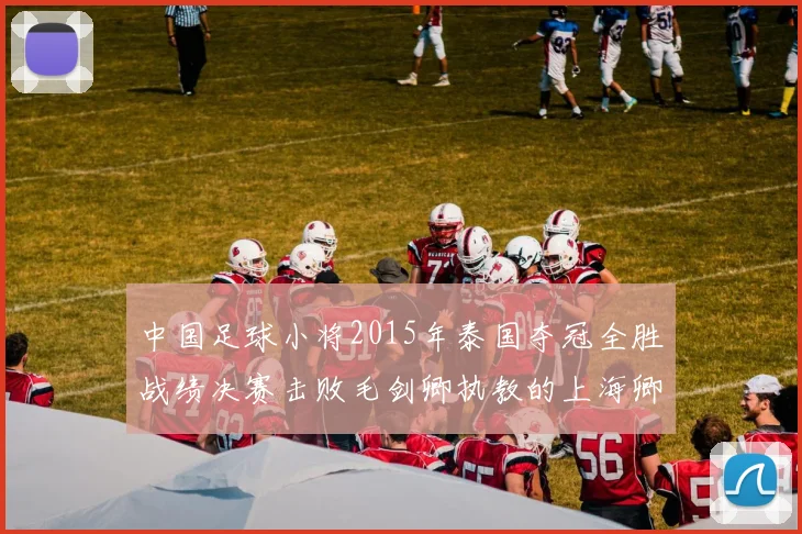 中国足球小将2015年泰国夺冠全胜战绩决赛击败毛剑卿执教的上海卿训