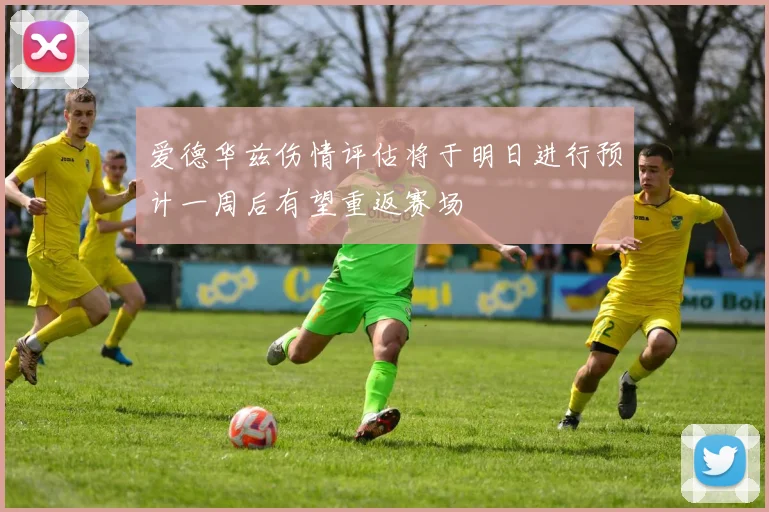 爱德华兹伤情评估将于明日进行预计一周后有望重返赛场