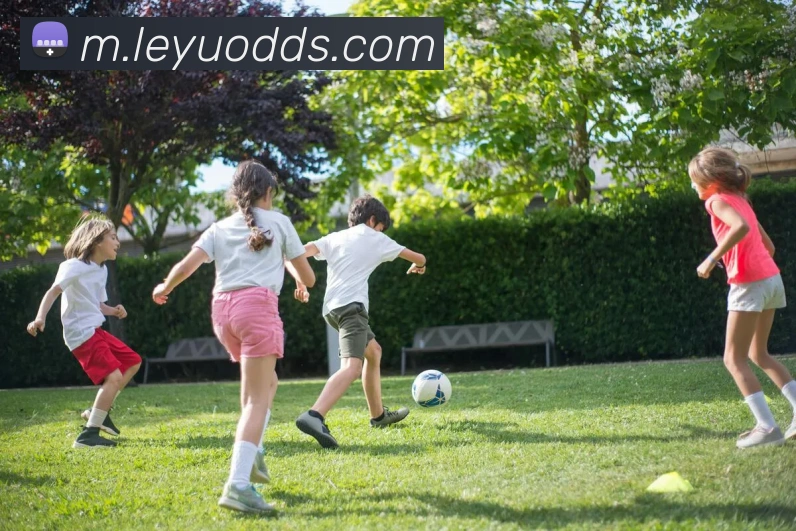 乐鱼体育APP 高清赛事图