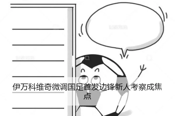 伊万科维奇微调国足首发边锋新人考察成焦点 | Leyu